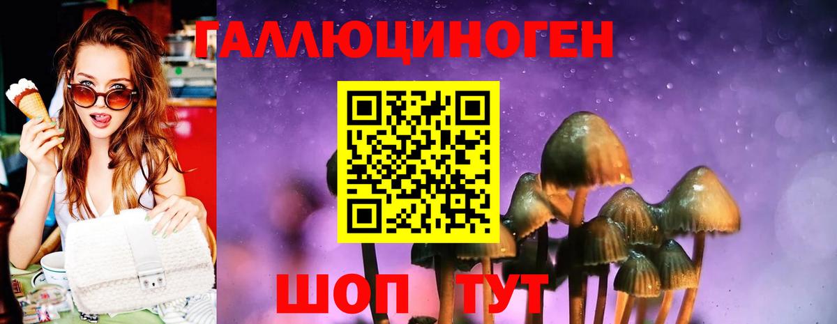Псилоцибиновые грибы GOLDEN TEACHER Димитровград