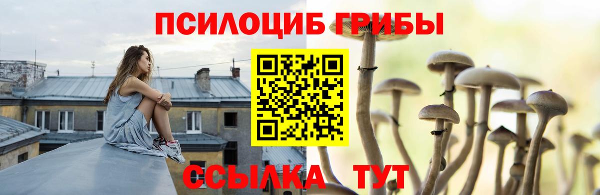 Псилоцибиновые грибы ЛСД  цена наркотик  Димитровград  Вход с VPN  Галлюциногенные грибы MAGIC MUSHROOMS 